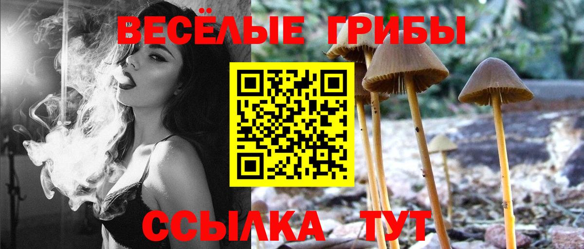 Псилоцибиновые грибы мухоморы Ялта
