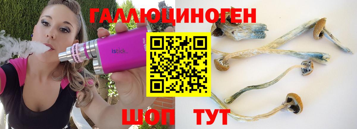 Галлюциногенные грибы GOLDEN TEACHER  как найти   Ялта  Вход с VPN 